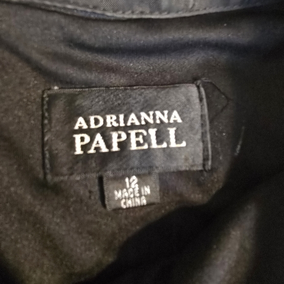 Adrianna Papell Beaded Neckline Cocktail Party Evening Classy Elegant Sz 12 - Picture 8 of 11